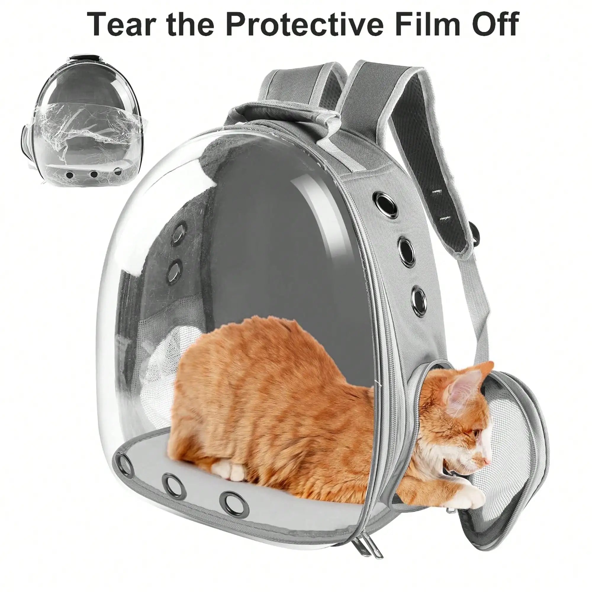 🐱 Sac à dos de transport pour chat