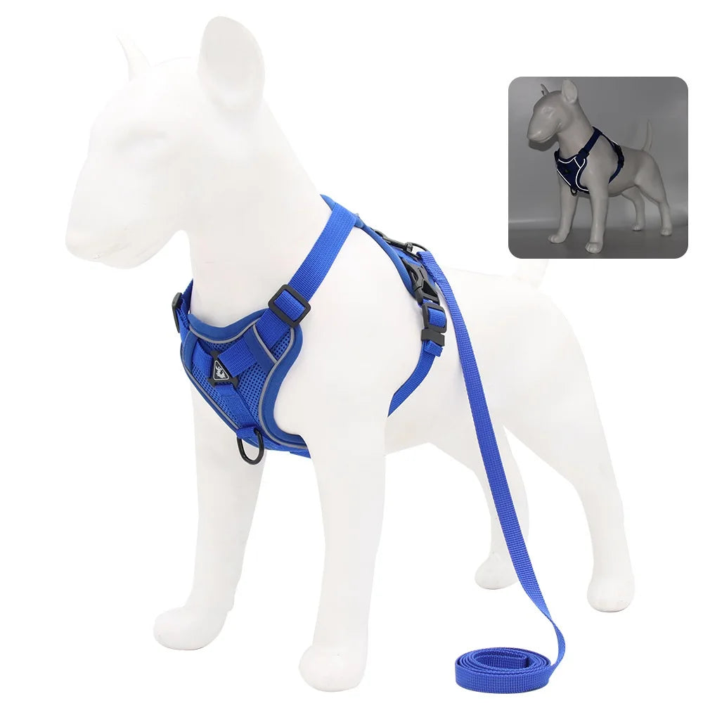 Harnais Anti-Traction Ergonomique avec Laisse Assortie (150 cm) – Respirant & Réglable pour Chien et Chiot
