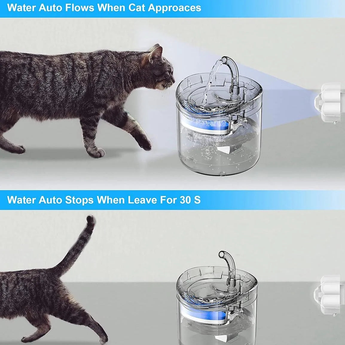 Fleur sensorielle pour fontaine à eau pour chiens et chats