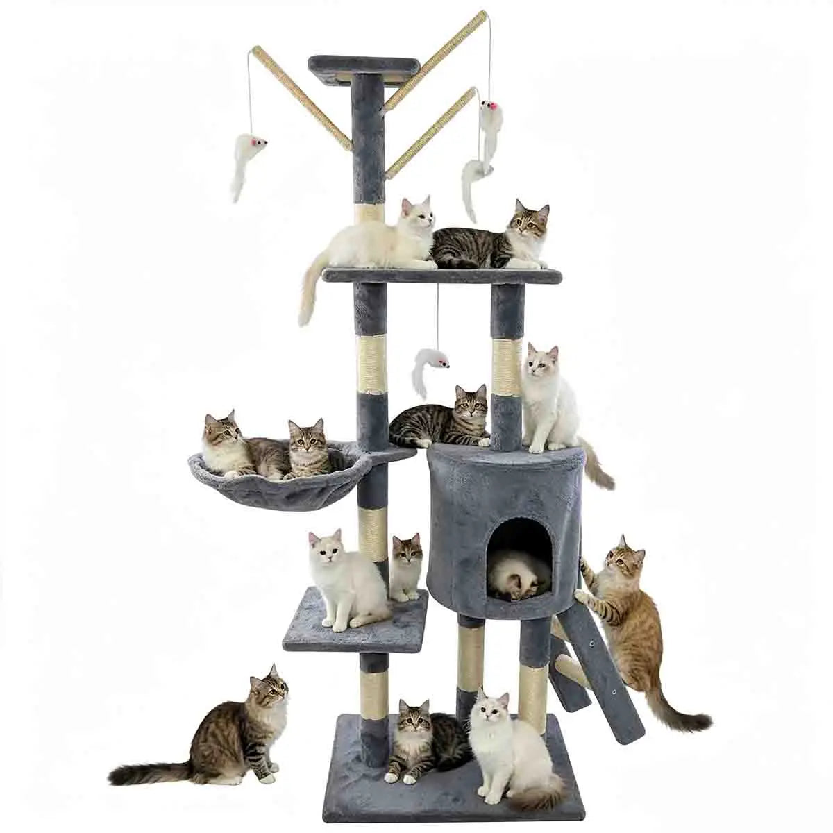 🐱 Grand arbre à chat 5 niveaux et plus
