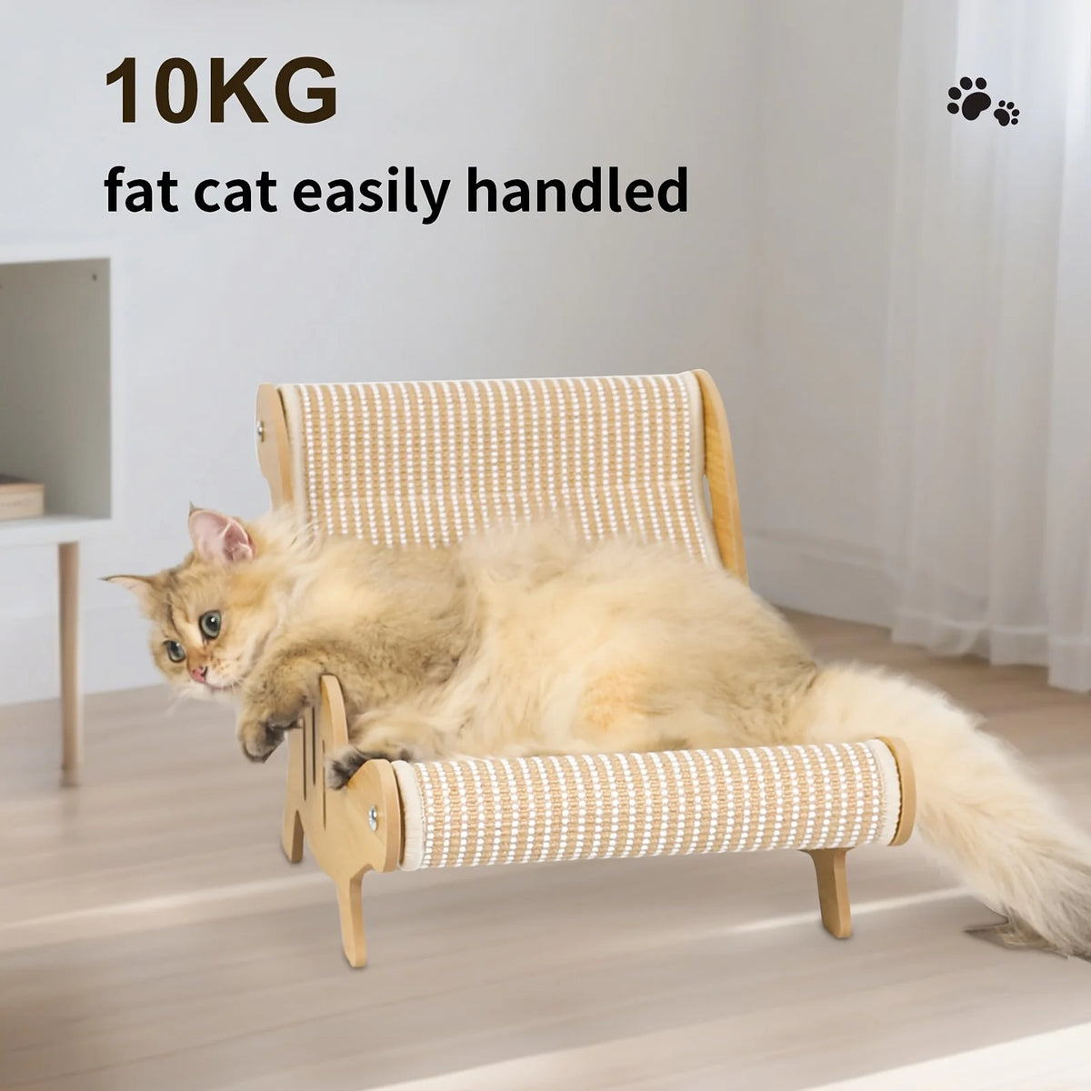 🐱 Canapé griffoir pour chat – Design ergonomique