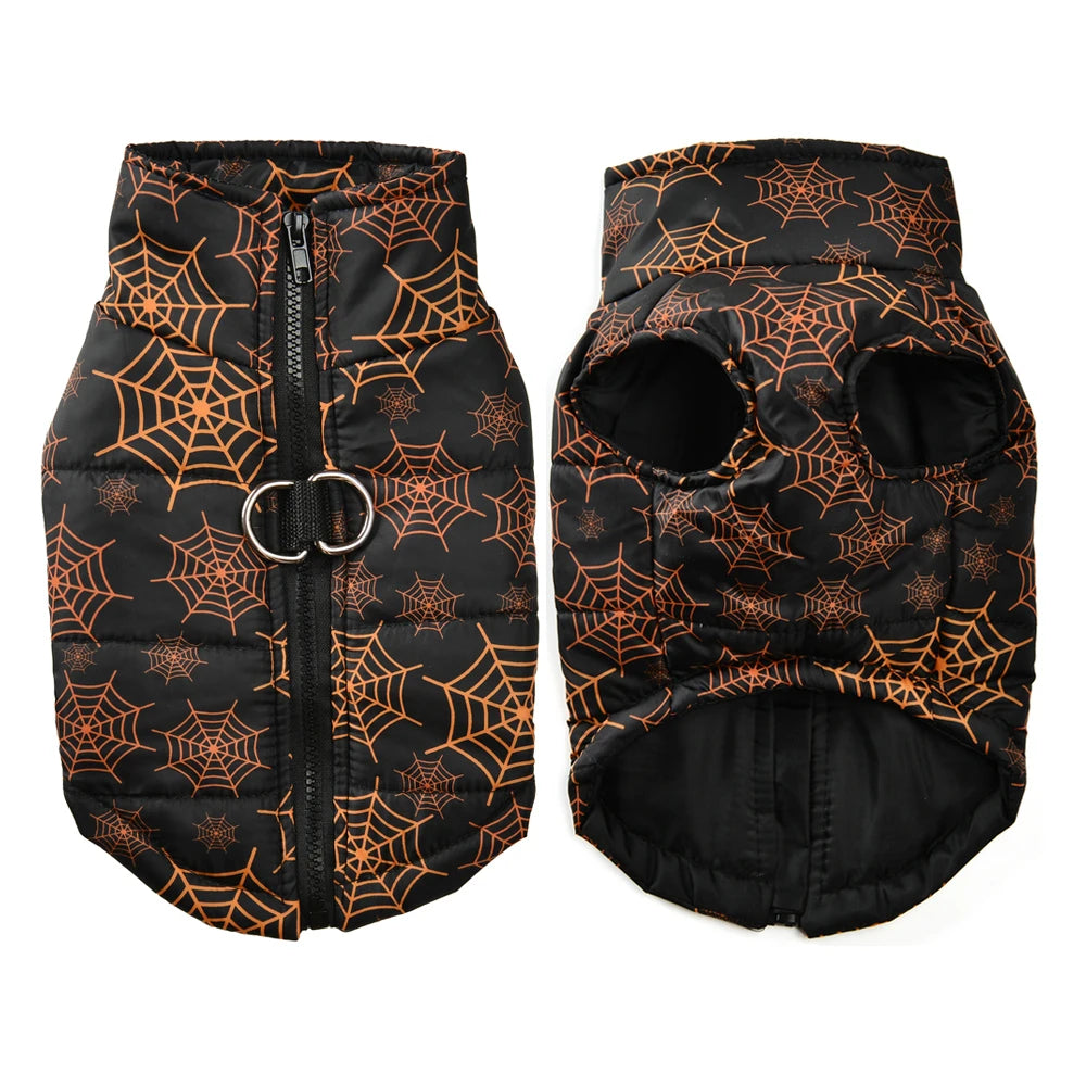 Veste Halloween pour chien