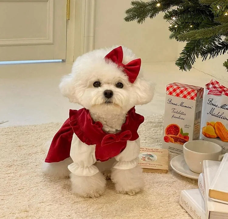 Robe élégante pour chien