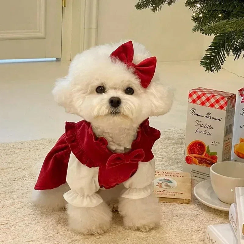 Robe élégante pour chien