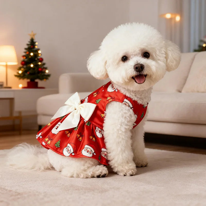 Robe de noël pour chien