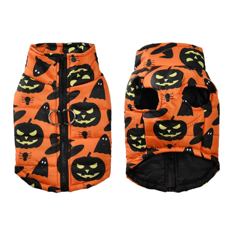 Veste Halloween pour chien