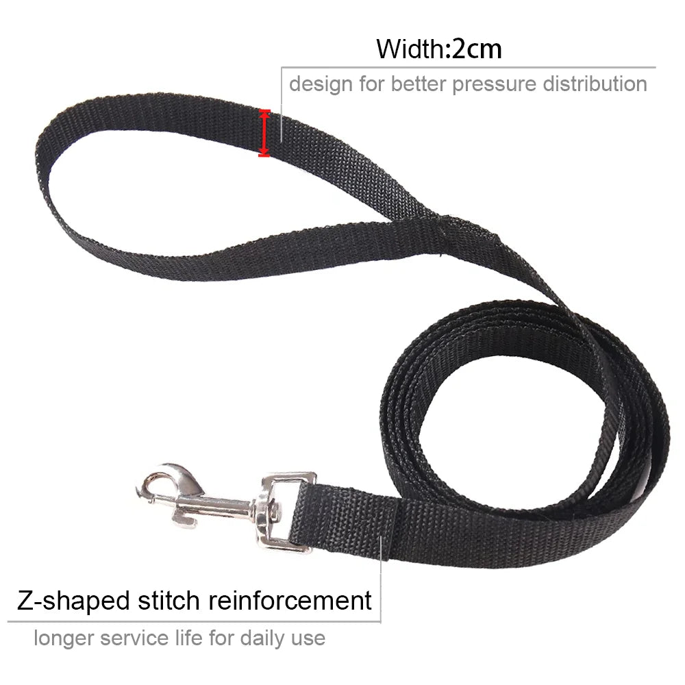 🐕 Laisse pour chien en nylon robuste – 1,5 à 50 m