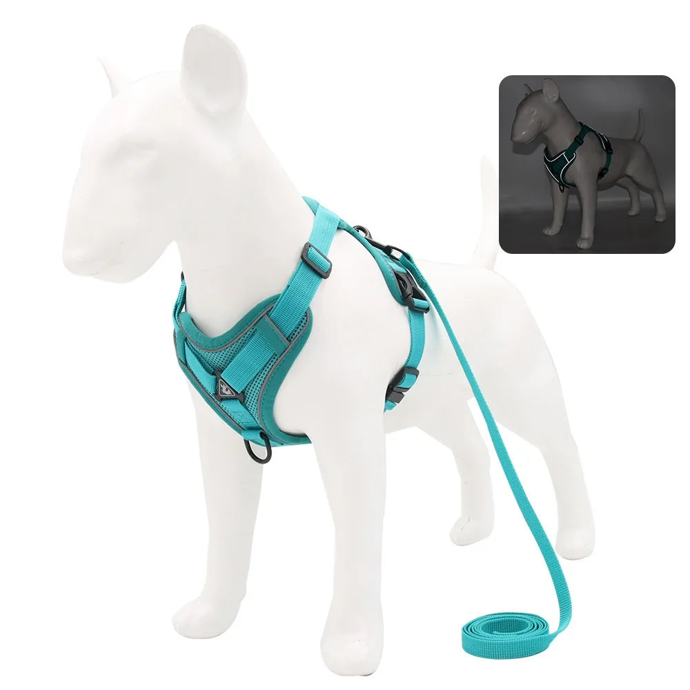 Harnais Anti-Traction Ergonomique avec Laisse Assortie (150 cm) – Respirant & Réglable pour Chien et Chiot