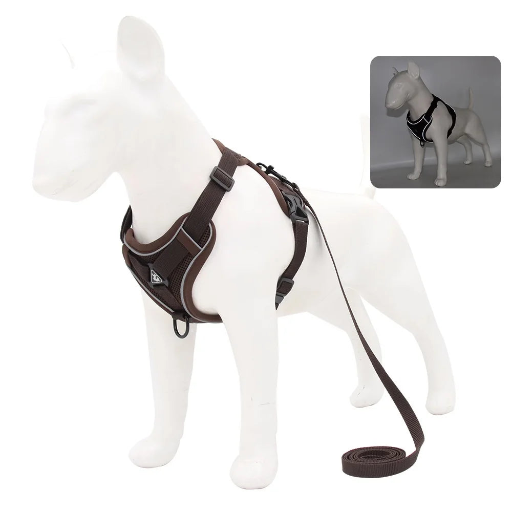 Harnais Anti-Traction Ergonomique avec Laisse Assortie (150 cm) – Respirant & Réglable pour Chien et Chiot