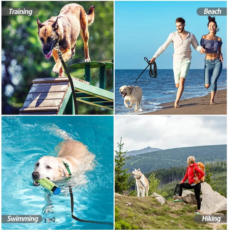 🐕 Laisse pour chien en nylon robuste – 1,5 à 50 m