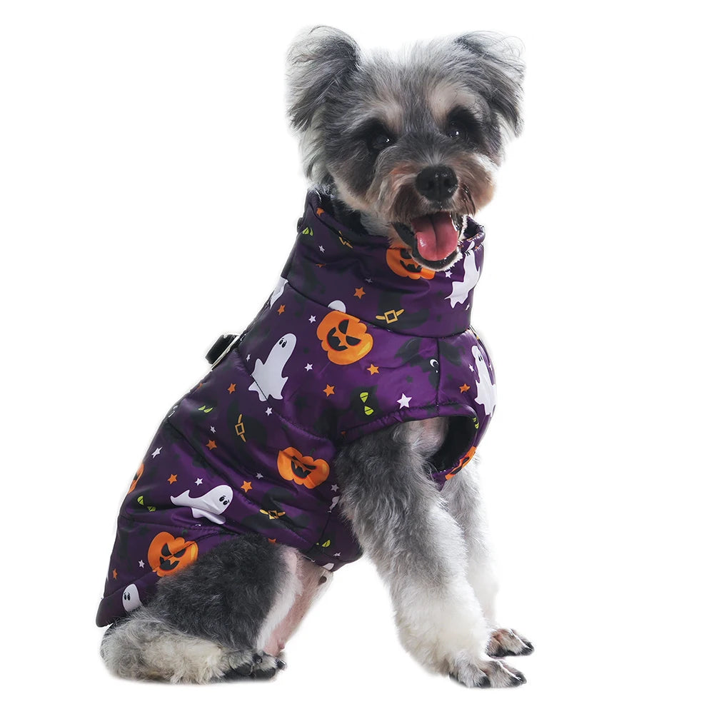 Veste Halloween pour chien
