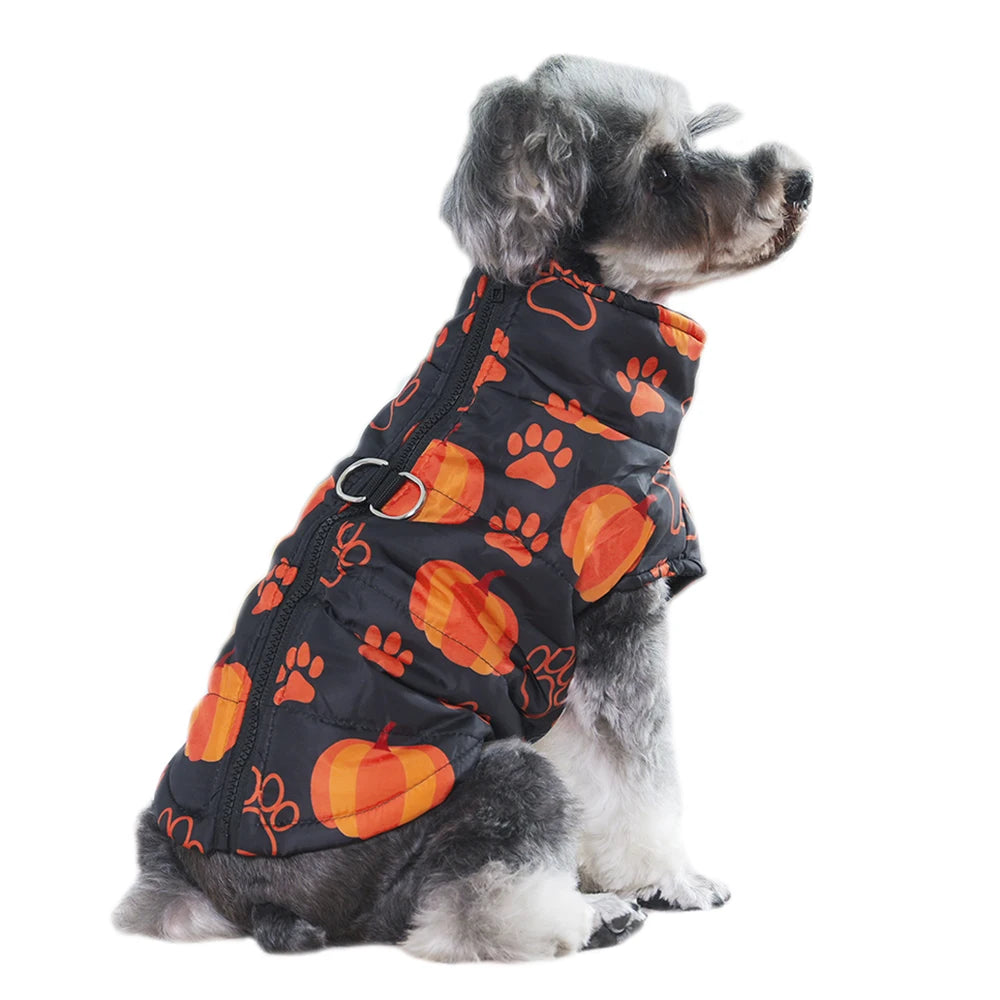 Veste Halloween pour chien