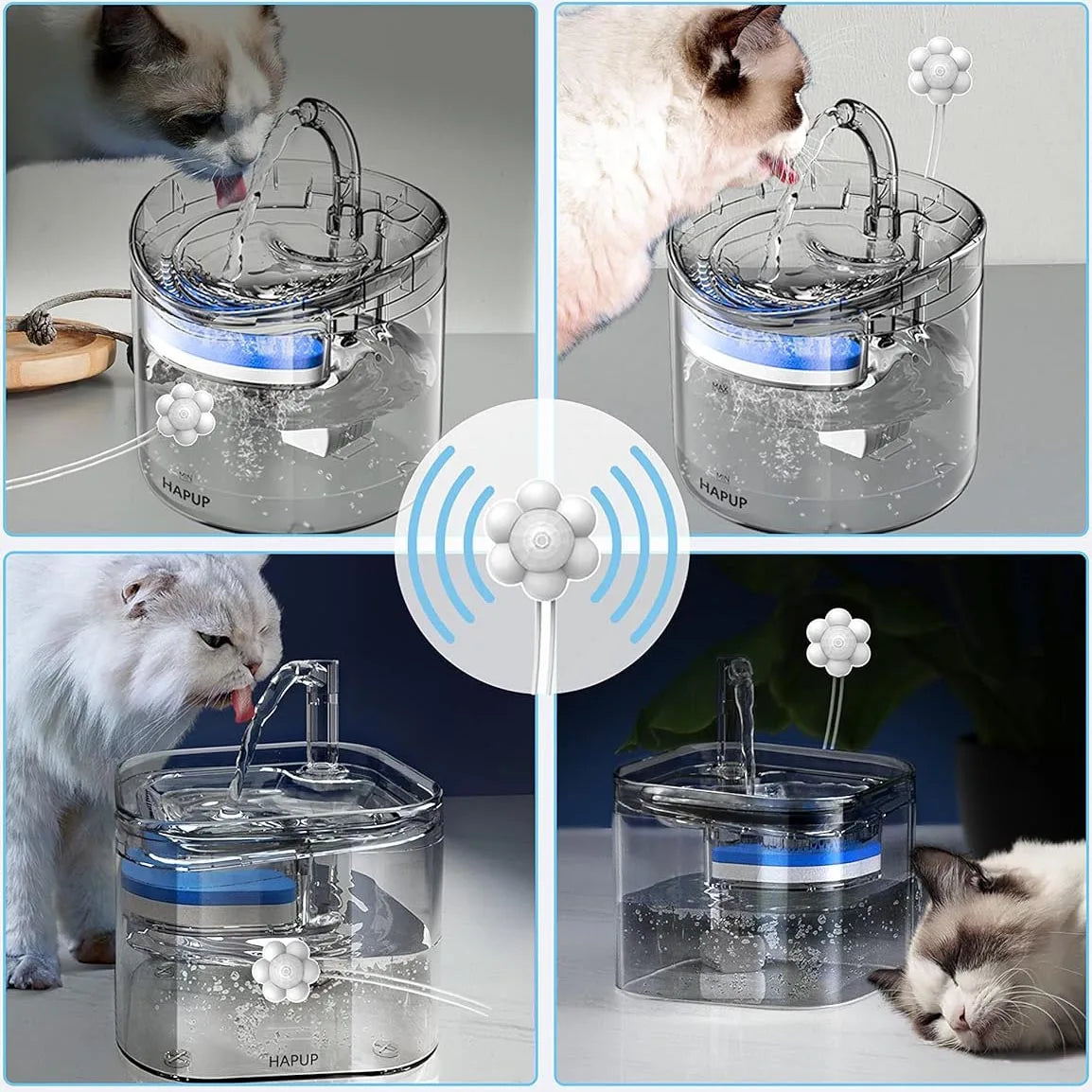 Fleur sensorielle pour fontaine à eau pour chiens et chats