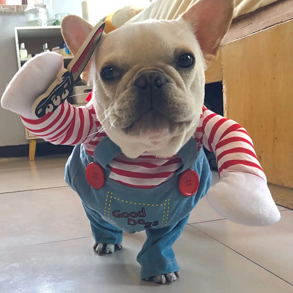 Déguisement Halloween Chucky pour chien