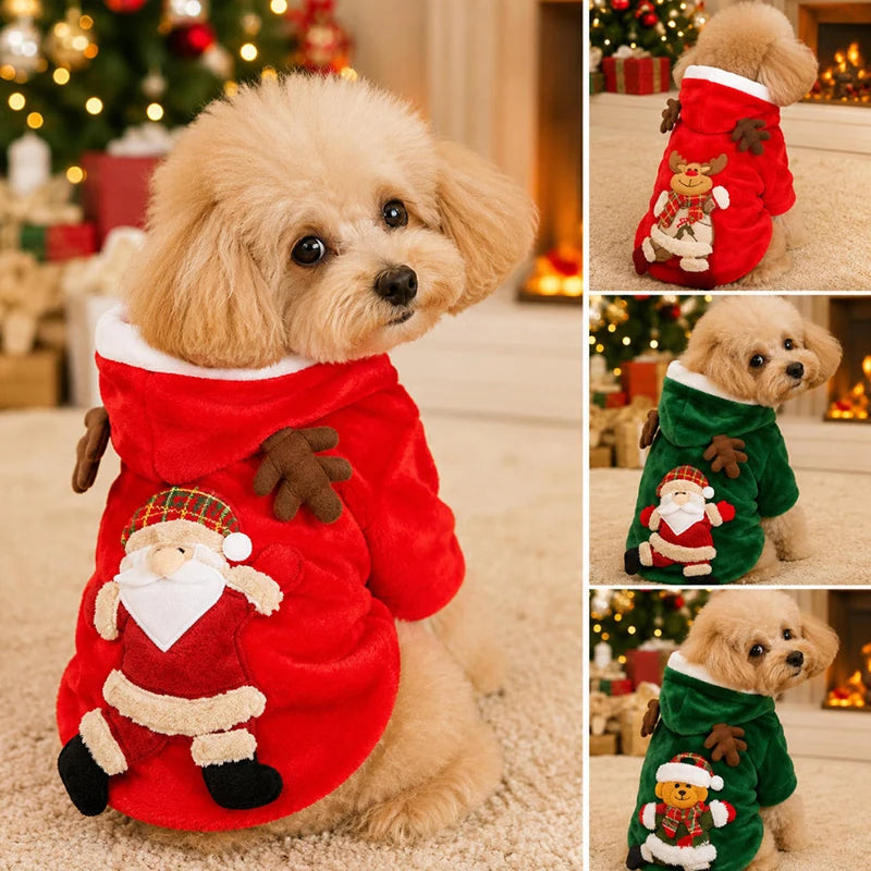 Pull de noël pour chien