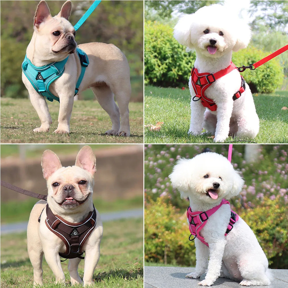 Harnais Anti-Traction Ergonomique avec Laisse Assortie (150 cm) – Respirant & Réglable pour Chien et Chiot