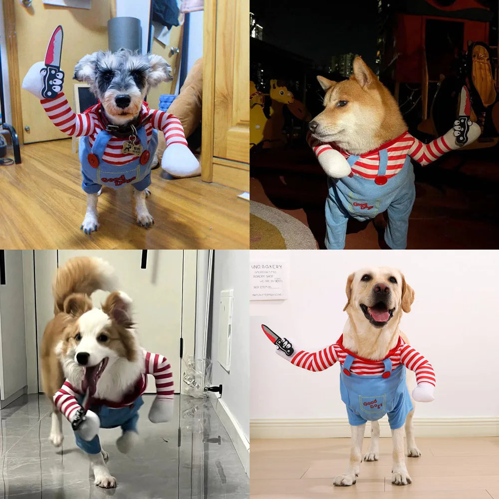 Déguisement Halloween Chucky pour chien