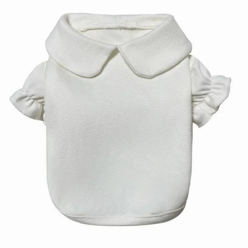 Robe élégante pour chien