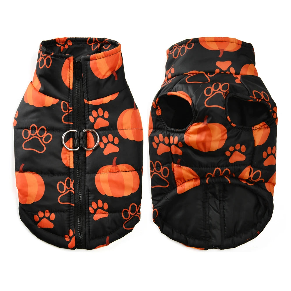 Veste Halloween pour chien