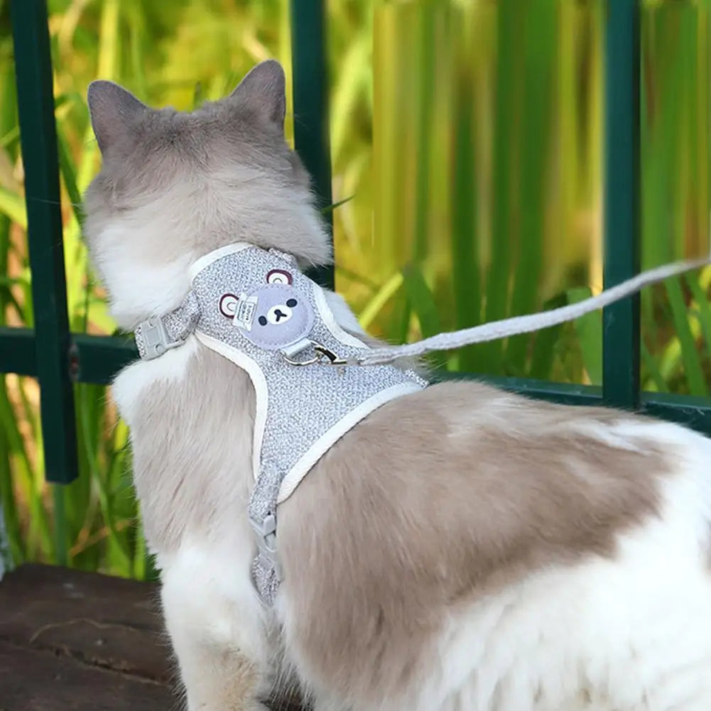 Harnais avec laisse pour petit chien, chat et lapin 🐶🐱🐰