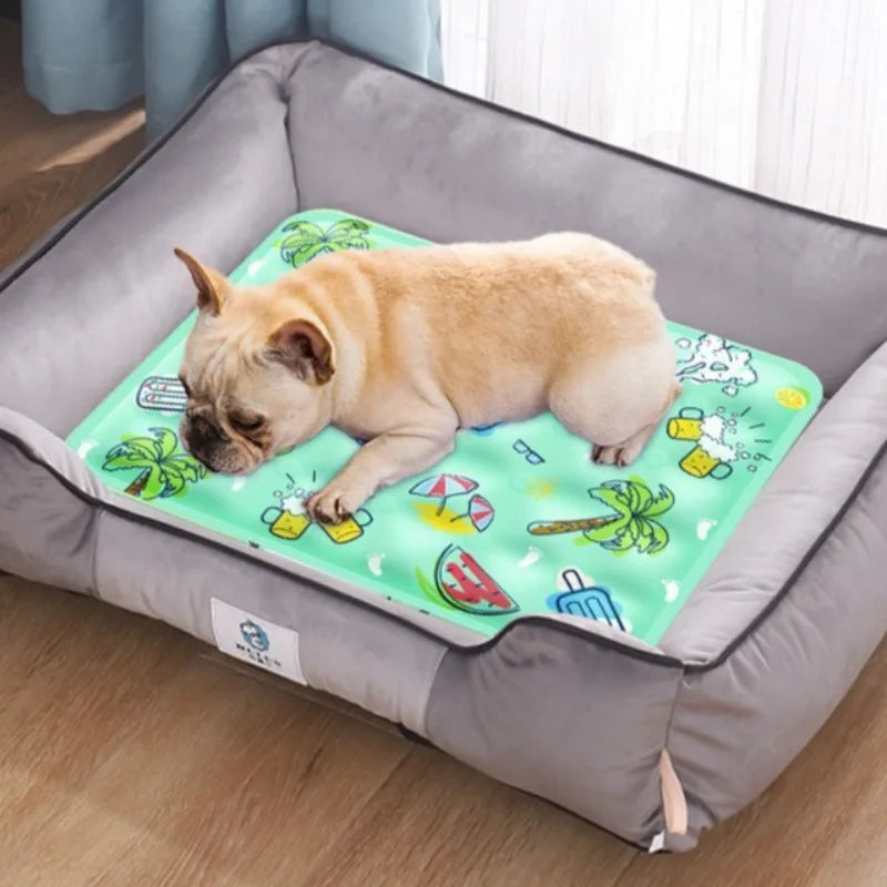 Tapis rafraîchissant à eau pour chien et chat ❄️🐶🐱