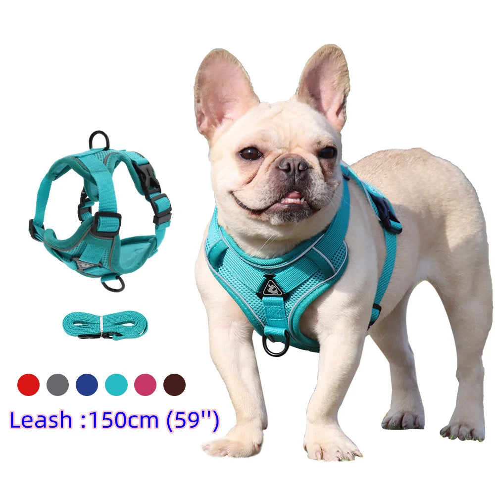 Harnais Anti-Traction Ergonomique avec Laisse Assortie (150 cm) – Respirant & Réglable pour Chien et Chiot