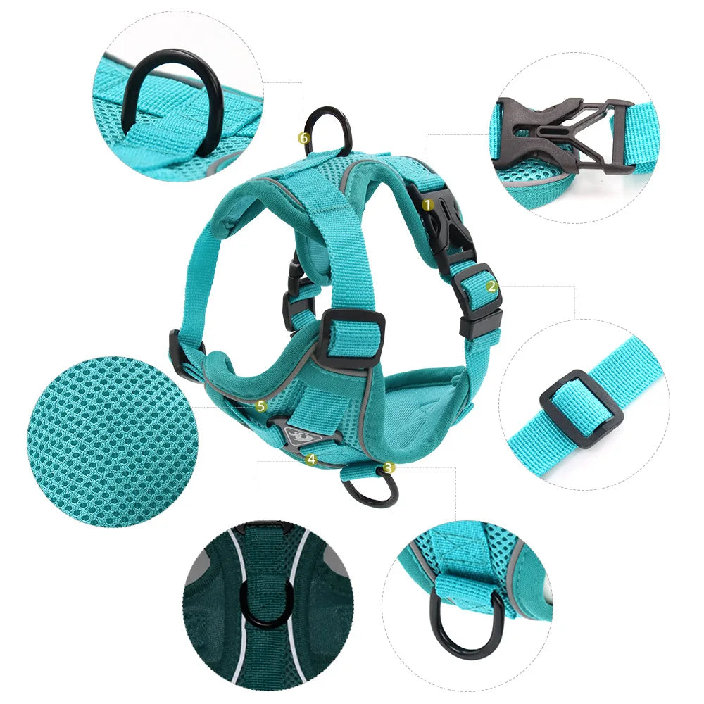 Harnais Anti-Traction Ergonomique avec Laisse Assortie (150 cm) – Respirant & Réglable pour Chien et Chiot