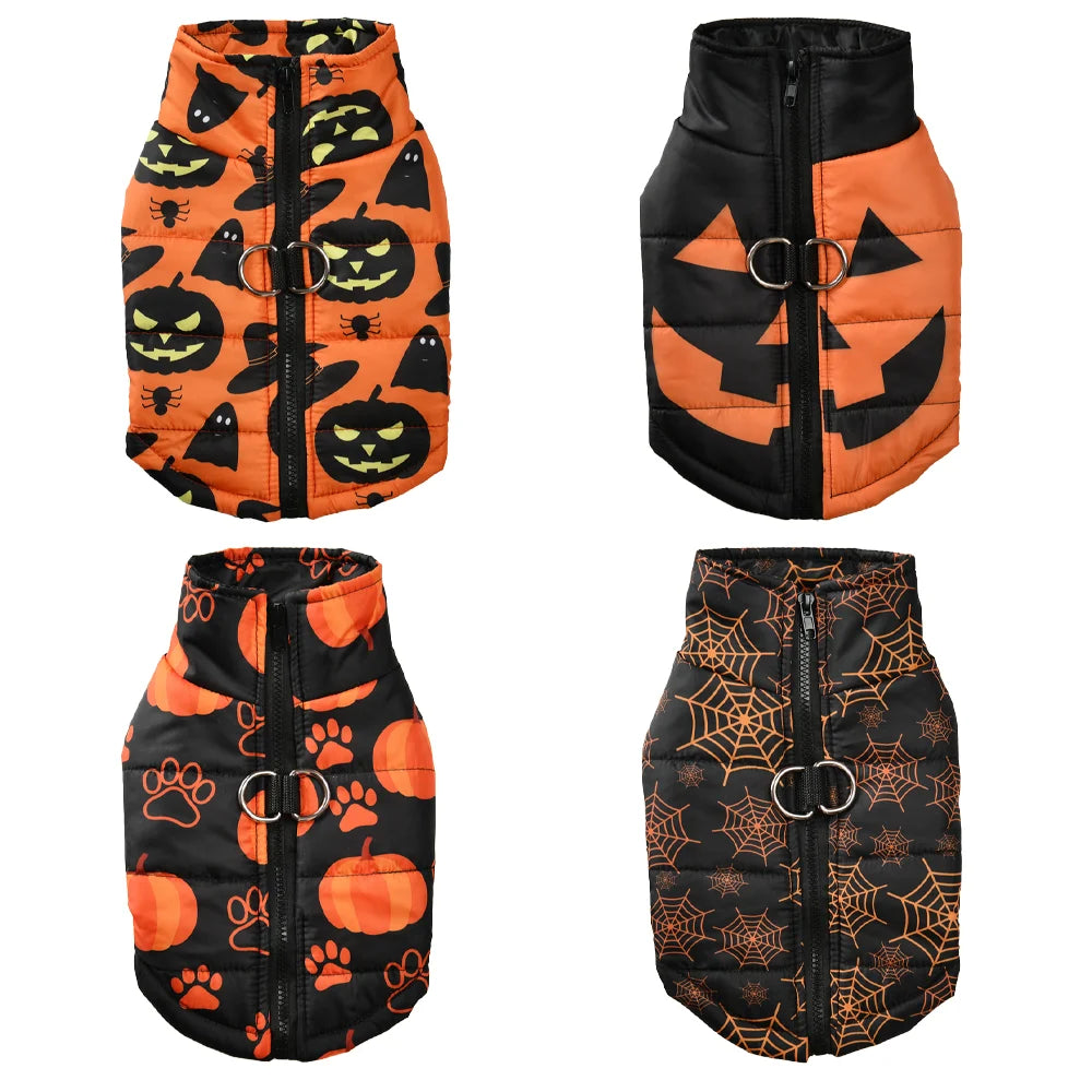 Veste Halloween pour chien