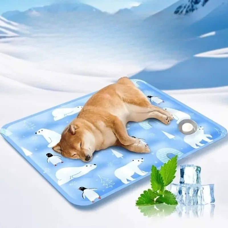Tapis rafraîchissant à eau pour chien et chat ❄️🐶🐱