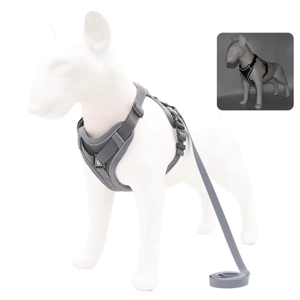 Harnais Anti-Traction Ergonomique avec Laisse Assortie (150 cm) – Respirant & Réglable pour Chien et Chiot