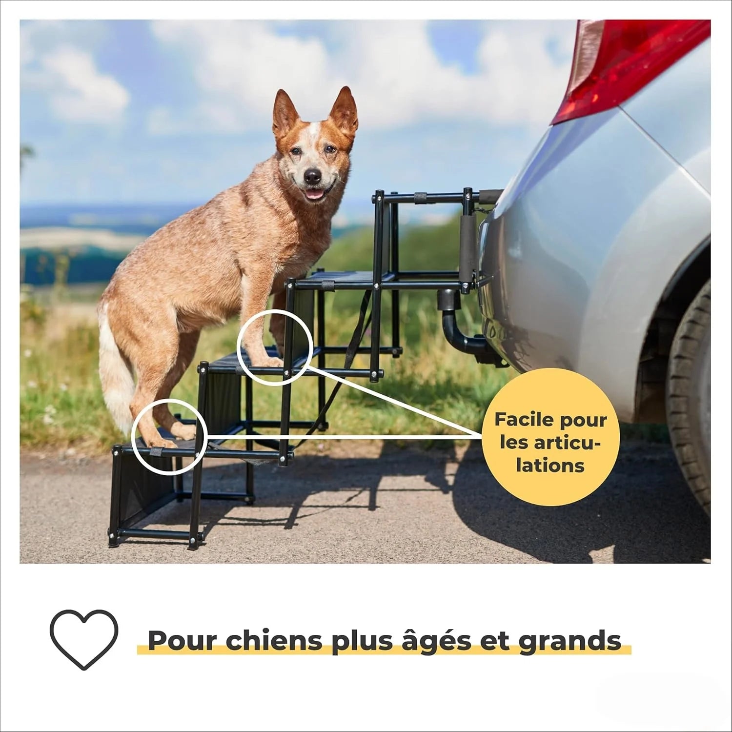 Rampe pliable pour chien Antidérapante