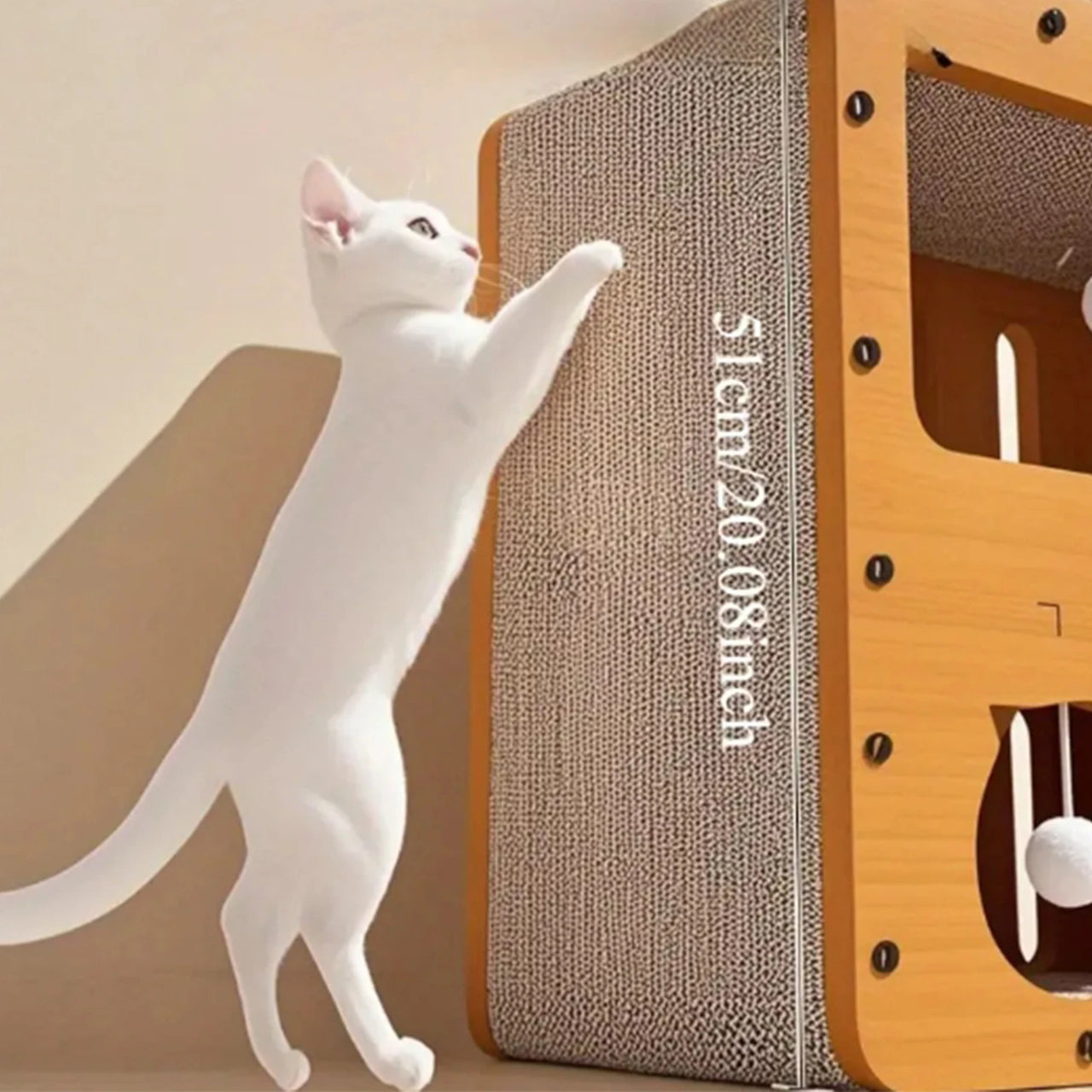 🐱 Villa 2-en-1 pour chat – Maison