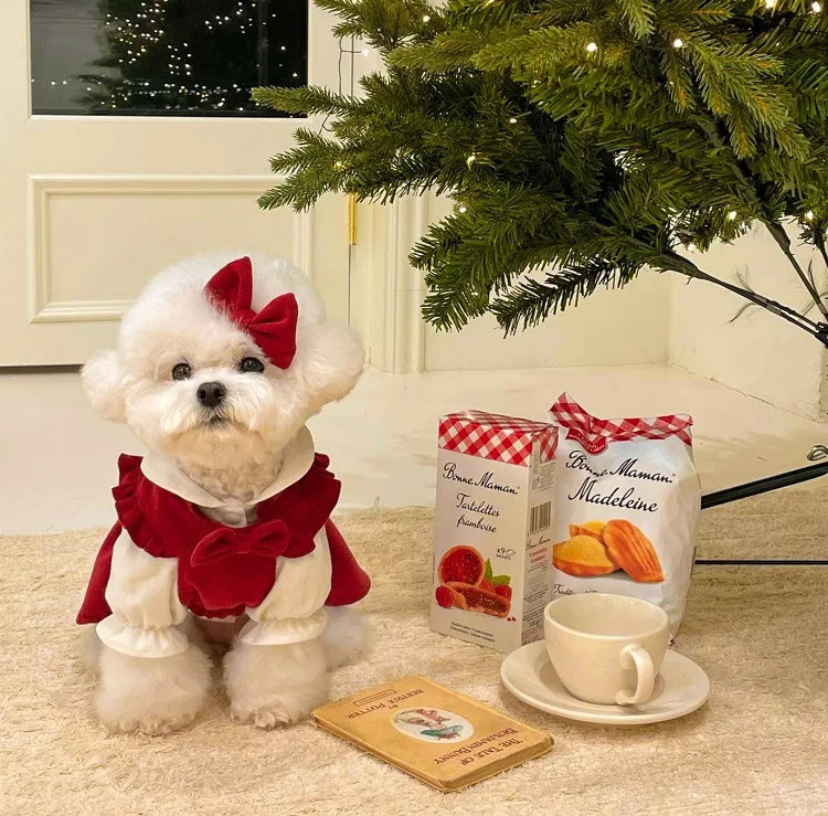 Robe élégante pour chien