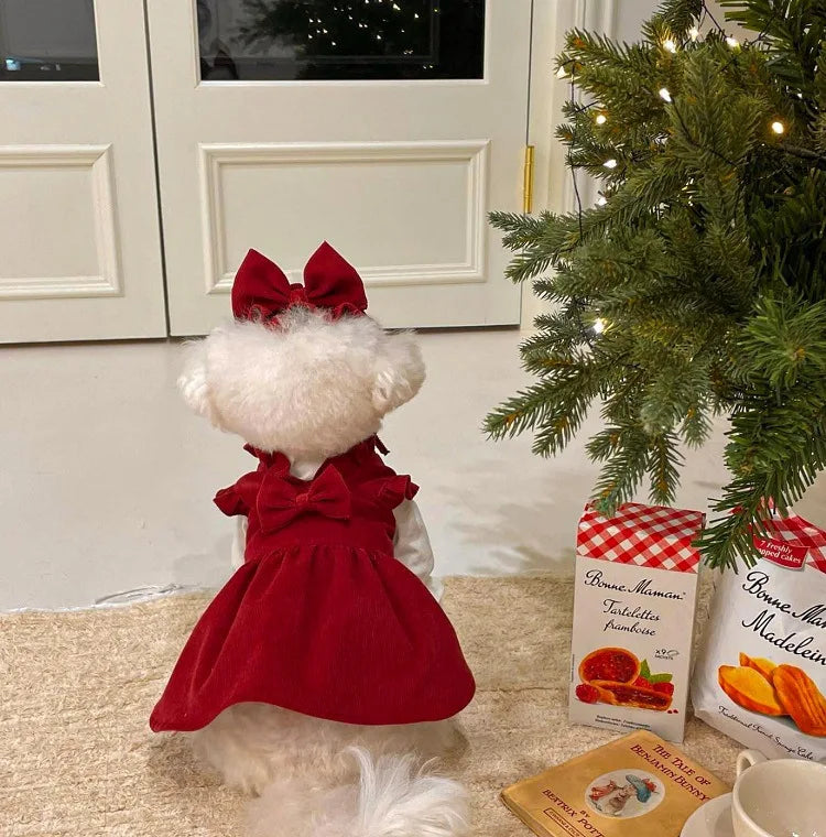 Robe élégante pour chien
