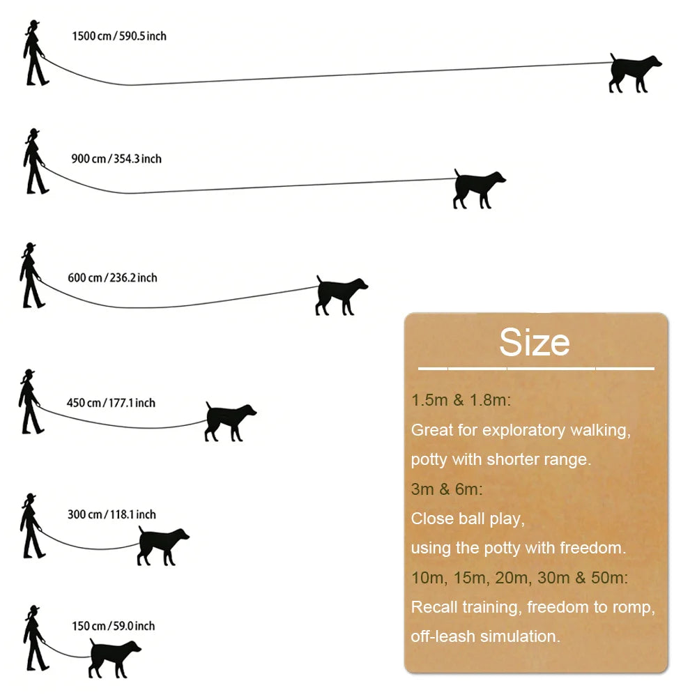 🐕 Laisse pour chien en nylon robuste – 1,5 à 50 m