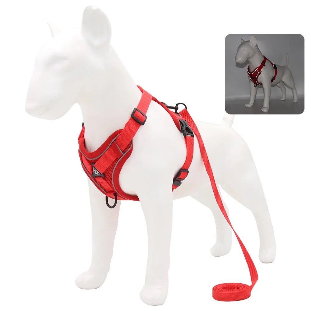 Harnais Anti-Traction Ergonomique avec Laisse Assortie (150 cm) – Respirant & Réglable pour Chien et Chiot