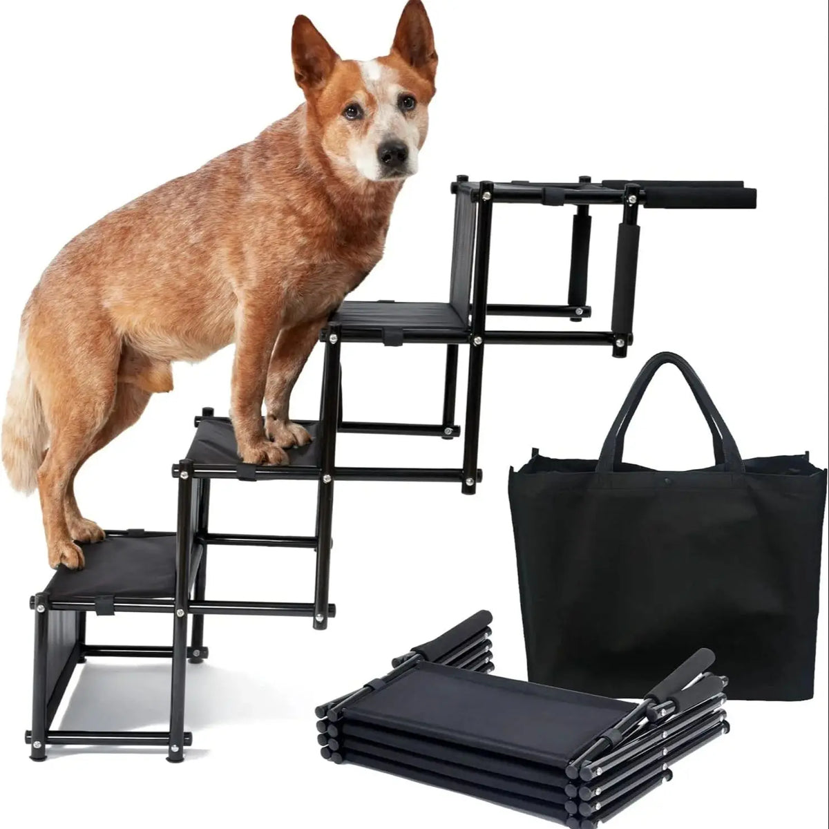 Rampe pliable pour chien Antidérapante