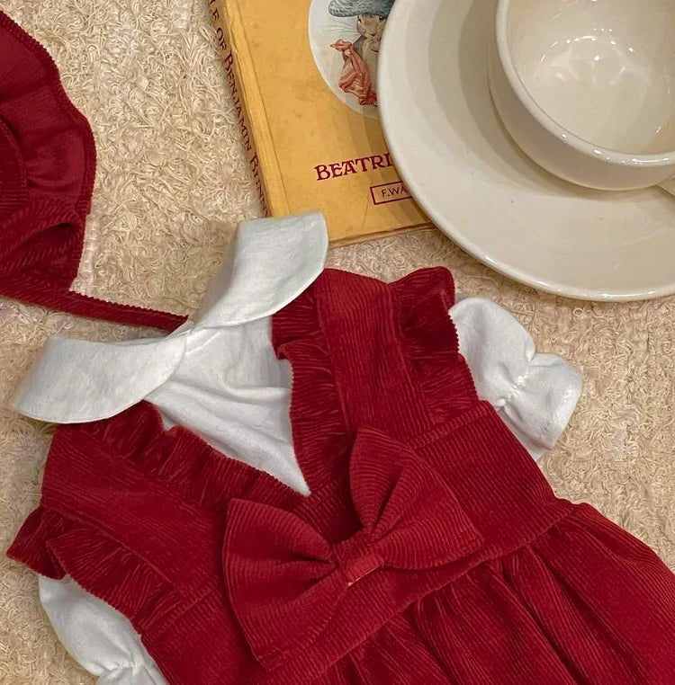 Robe élégante pour chien
