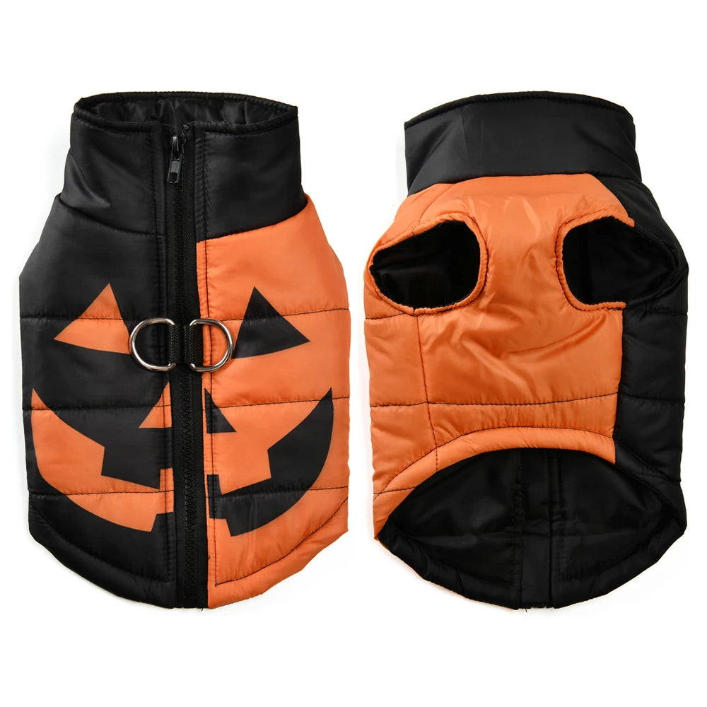 Veste Halloween pour chien