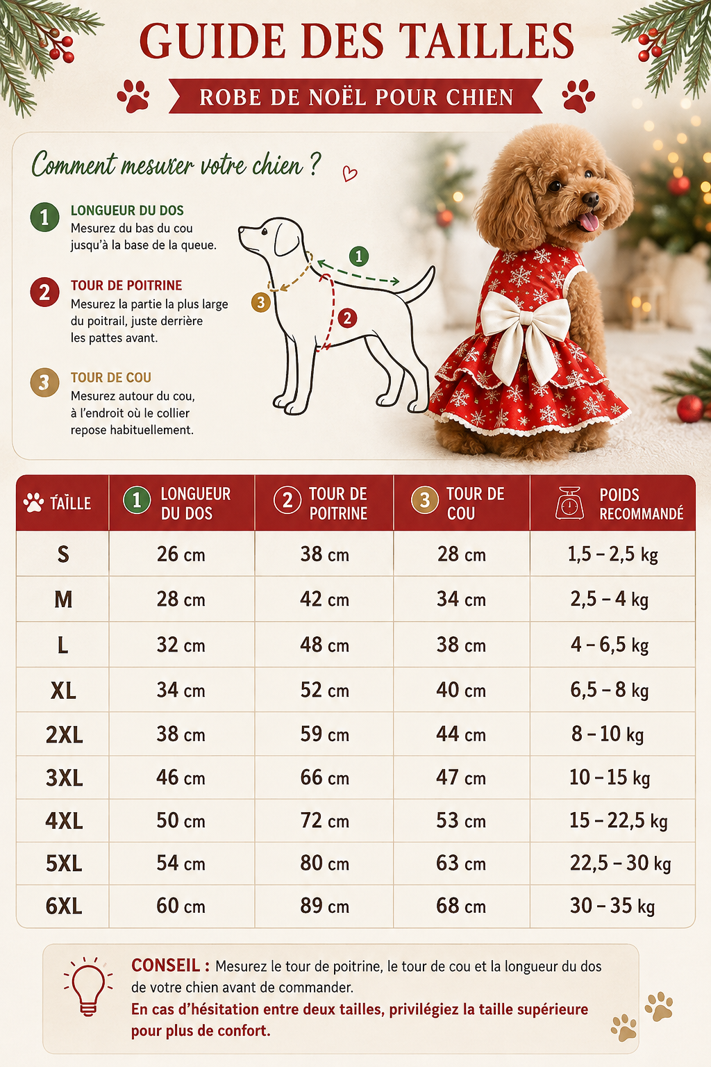 Robe de noël pour chien