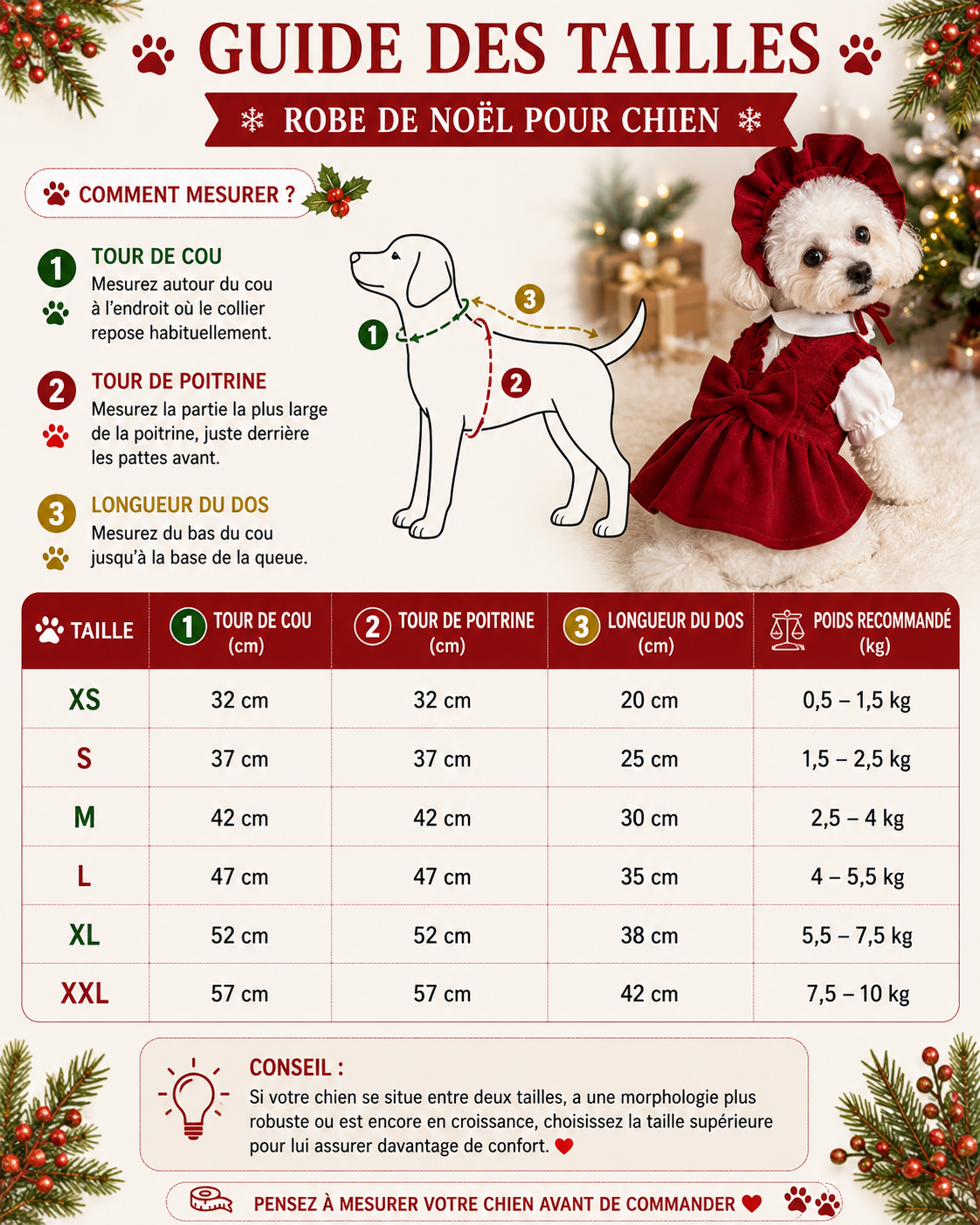Robe élégante pour chien